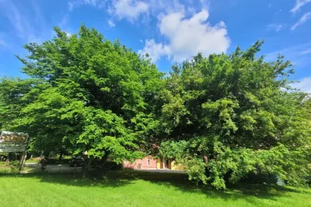 Insieme in Panche, Bel appartement dans les collines de Pistoia - Photo 34