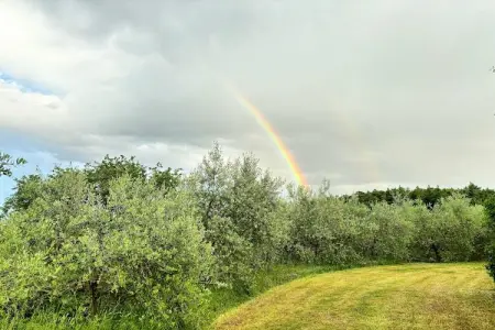 Casa Stefania, Gîte rustique à Scheggia avec piscine - Photo 35
