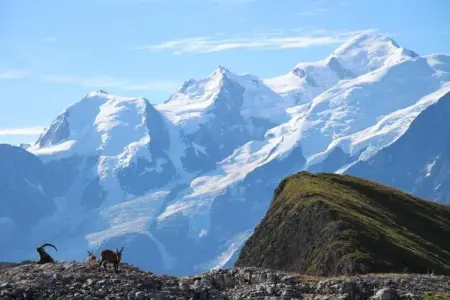 Les Portes du Grand Massif 6, Appartement typique sur le domaine skiable du Grand Massif - Photo 36