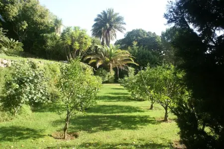 Vue mer, Belle villa à Cannes, du 18e siècle avec piscine privée et vue mer - Photo 20
