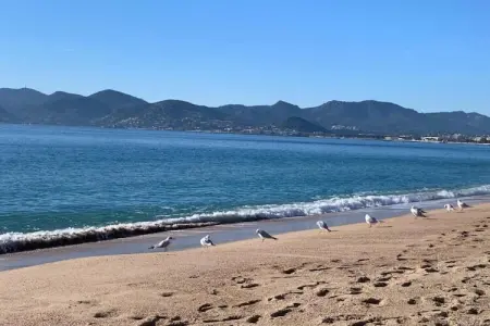 Vue mer, Belle villa à Cannes, du 18e siècle avec piscine privée et vue mer - Photo 24