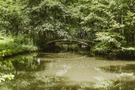 Les Bastides de Lascaux 3, Belle maisonnette près des célèbres grottes de Lascaux - Photo 20