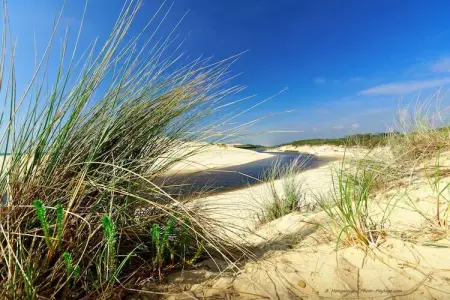 Maison à 10 min du Pilat, Maison de vacances à La Teste-de-Buch avec piscine privée, 10min des plages. - Photo 22
