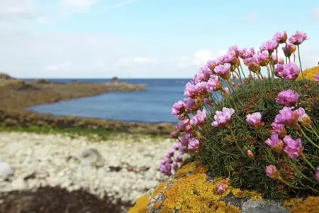 L'Estuaire, Spacieux, confortable maison avec piscine intérieure chauffée et un grand jardin - Photo 34