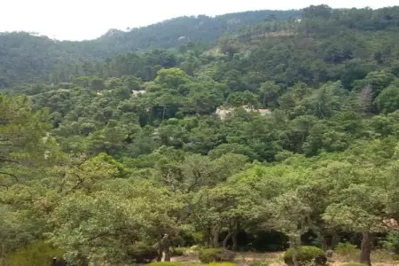 Jonila, Maison de vacances à Fayence avec piscine priv - Photo 33