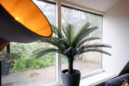 Soor & Long, Superbe habitation située aux abords d'un lac à 7KM de Maastricht - Photo 25