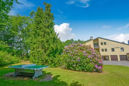 Charme des Chenets, Séduisante maison de vacances à Gros-Fays avec jardin - Photo 29