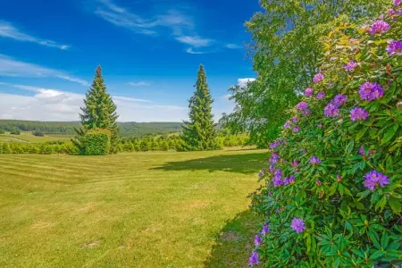 Charme des Chenets, Séduisante maison de vacances à Gros-Fays avec jardin - Photo 32