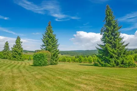 Charme des Chenets, Séduisante maison de vacances à Gros-Fays avec jardin - Photo 33