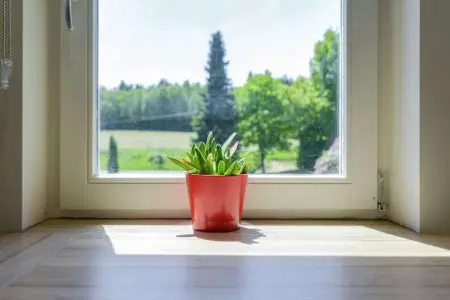 Charme des Chenets, Séduisante maison de vacances à Gros-Fays avec jardin - Photo 39