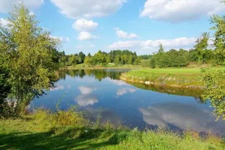 La Caleche, Très beau gite avec studio sur un domaine avec piscine chauffée. - Photo 28