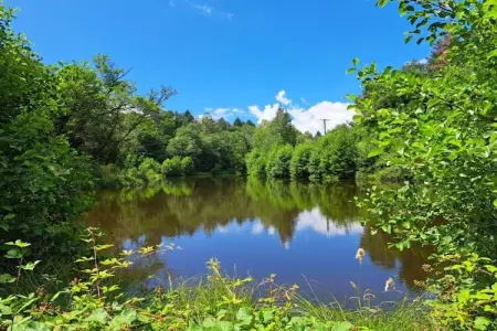 La Caleche, Très beau gite avec studio sur un domaine avec piscine chauffée. - Photo 34