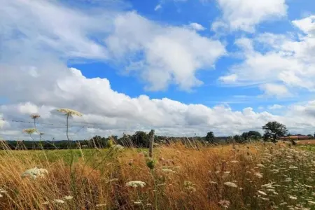 La Caleche, Très beau gite avec studio sur un domaine avec piscine chauffée. - Photo 38