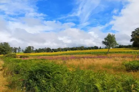 Le Castel, Belle maison spacieuse sur une belle propriété avec une piscine chauffée. - Photo 29