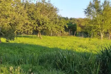 Le Castel, Belle maison spacieuse sur une belle propriété avec une piscine chauffée. - Photo 33