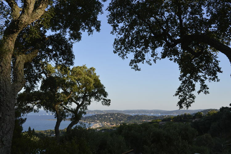Happy View, Location Villa à Sainte Maxime - Photo 30 / 40