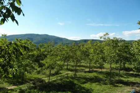 Appartamento per 6, Bel appartement immergé dans le parc et grande piscine à 300 mètres - Photo 34