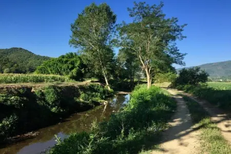 Appartamento per 6, Bel appartement immergé dans le parc et grande piscine à 300 mètres - Photo 35