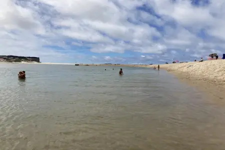 Your Beautiful Portuguese House, Maison de vacances moderne à Salir do Porto avec piscine - Photo 39