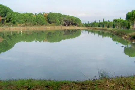 Appartamento il Coniglio, Delux Maison de vacances à Castiglione del Lago - Photo 21