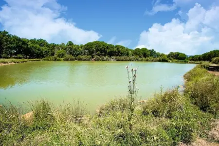 Appartamento il Coniglio, Delux Maison de vacances à Castiglione del Lago - Photo 31