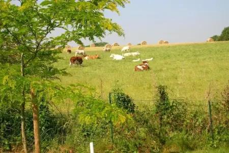 Le Château de La Gau, Magnifique demeure avec piscine à Saint-Paul-du-Bois - Photo 31