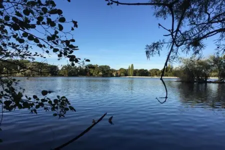 Le Château de La Gau, Magnifique demeure avec piscine à Saint-Paul-du-Bois - Photo 32
