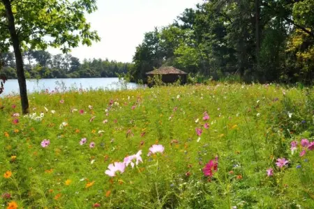 Le Château de La Gau, Magnifique demeure avec piscine à Saint-Paul-du-Bois - Photo 33