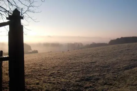 Le Château de La Gau, Magnifique demeure avec piscine à Saint-Paul-du-Bois - Photo 36