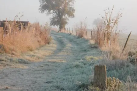 Le Château de La Gau, Magnifique demeure avec piscine à Saint-Paul-du-Bois - Photo 37