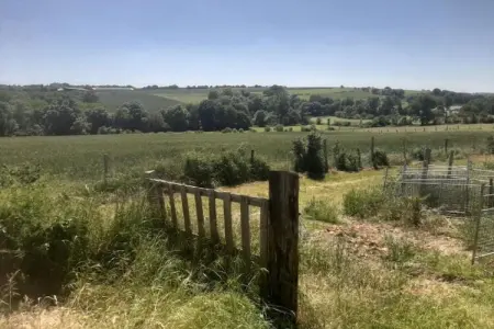Le Château de La Gau, Magnifique demeure avec piscine à Saint-Paul-du-Bois - Photo 38