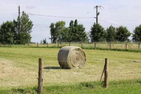 Le Château de La Gau, Magnifique demeure avec piscine à Saint-Paul-du-Bois - Photo 39