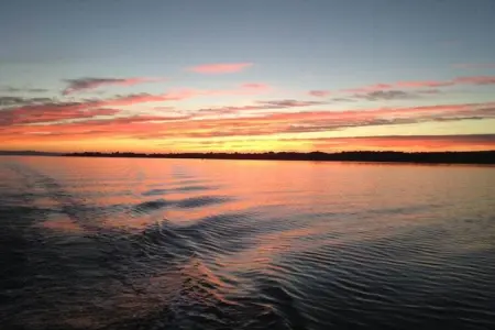 Resort More 1, Maison de vacances premium à Vir avec sauna - Photo 26