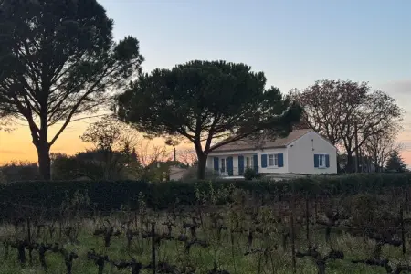 Villa Carpentras, Villa Carpentras  avec piscine, proche D'Avignon et du Parc Spirou - Photo 30