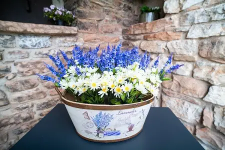 Il Conio Viola, Maison de vacances avec piscine, dans un endroit calme près d'Acqualagna - Photo 36