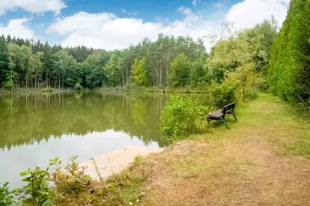 Le Gîte du Lac Privé, Gîte premium à Florennes face à un lac à poissons privé dans la forêt - Photo 35