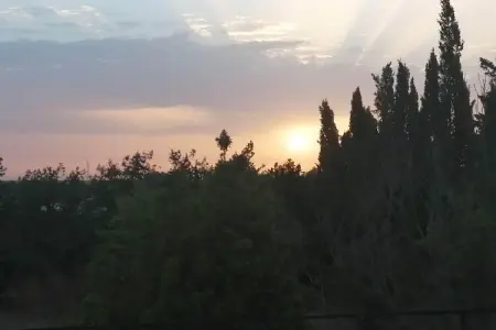 Can Serra, CAN SERRA - Villa pour 6 personnes à sa Pobla. - Photo 17