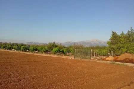 Can Serra, CAN SERRA - Villa pour 6 personnes à sa Pobla. - Photo 19