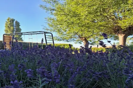 De Baraque, Maison de vacances moderne située à Haringe, parfaite pour des vacances reposantes en famille. - Photo 26