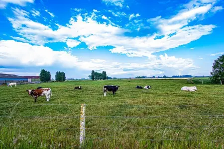 De Baraque, Maison de vacances moderne située à Haringe, parfaite pour des vacances reposantes en famille. - Photo 27
