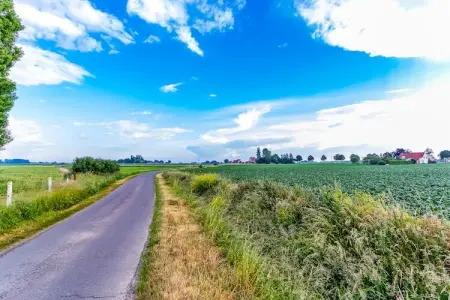 De Baraque, Maison de vacances moderne située à Haringe, parfaite pour des vacances reposantes en famille. - Photo 28