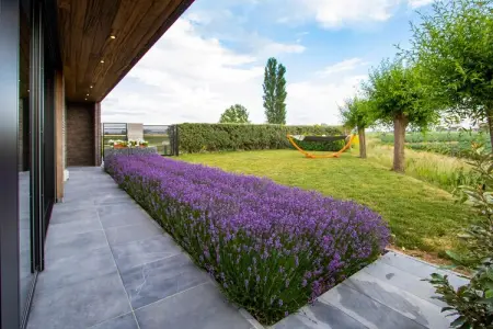 De Baraque, Maison de vacances moderne située à Haringe, parfaite pour des vacances reposantes en famille. - Photo 32