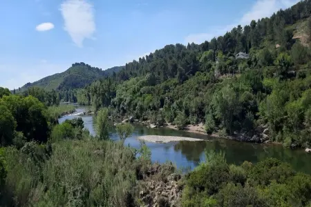 Villa Denise, Villa spacieuse avec terrasse à 200 mètres de l'Orb - Photo 58