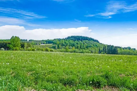 Les Bisons de l'Eden, Gîte chaleureux et confortable en pleine nature ardennaise - Photo 31
