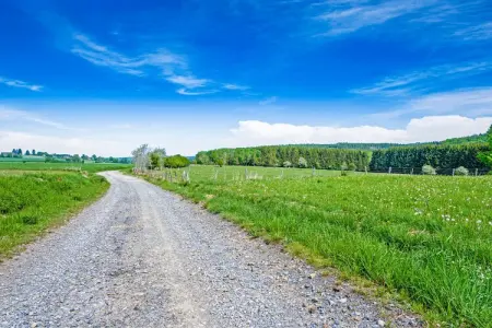 Les Bisons de l'Eden, Gîte chaleureux et confortable en pleine nature ardennaise - Photo 33