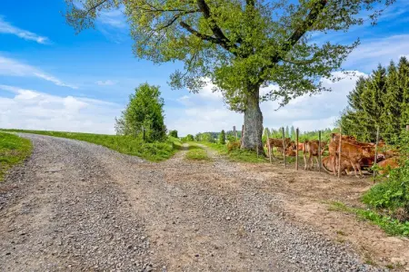 Les Bisons de l'Eden, Gîte chaleureux et confortable en pleine nature ardennaise - Photo 37