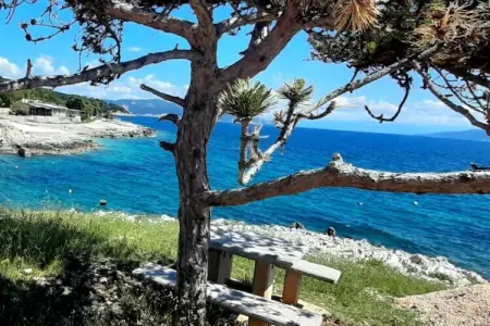 Holiday home Vito, Maison de vacances tranquille à Labin avec piscine privée - Photo 34