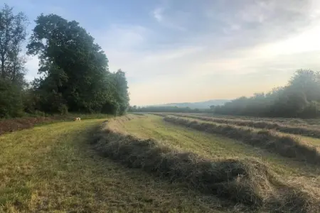 Gîte de 8 personnes avec piscine, Superbe villa près de Hamoir avec piscine privée et jardin - Photo 35