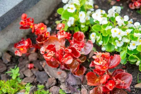 Gîte de 8 personnes avec piscine, Superbe villa près de Hamoir avec piscine privée et jardin - Photo 37