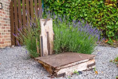 Gîte de 8 personnes avec piscine, Superbe villa près de Hamoir avec piscine privée et jardin - Photo 38